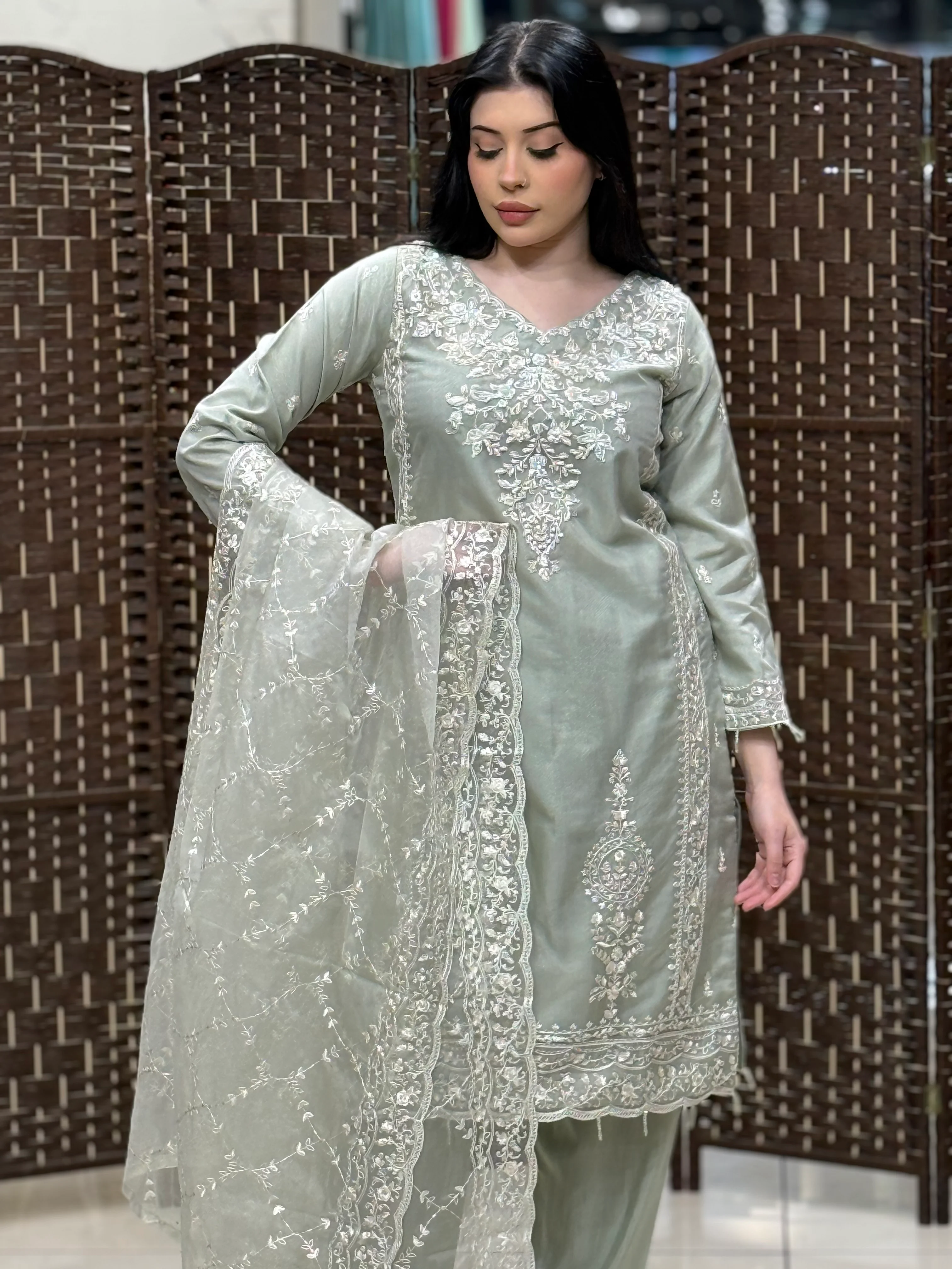 Rang-e-Noor Eid Collection DS-02 - Image 2