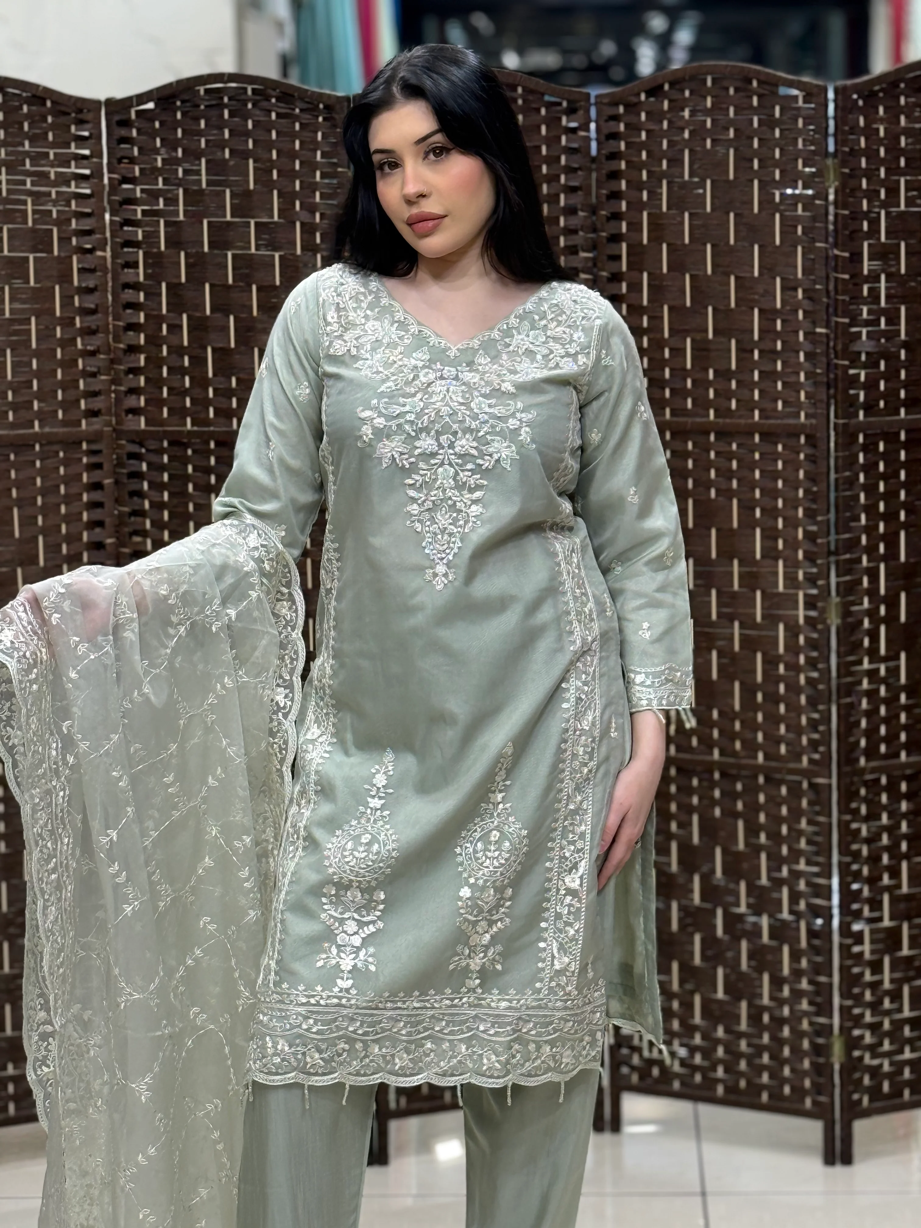 Rang-e-Noor Eid Collection DS-02 - Image 4