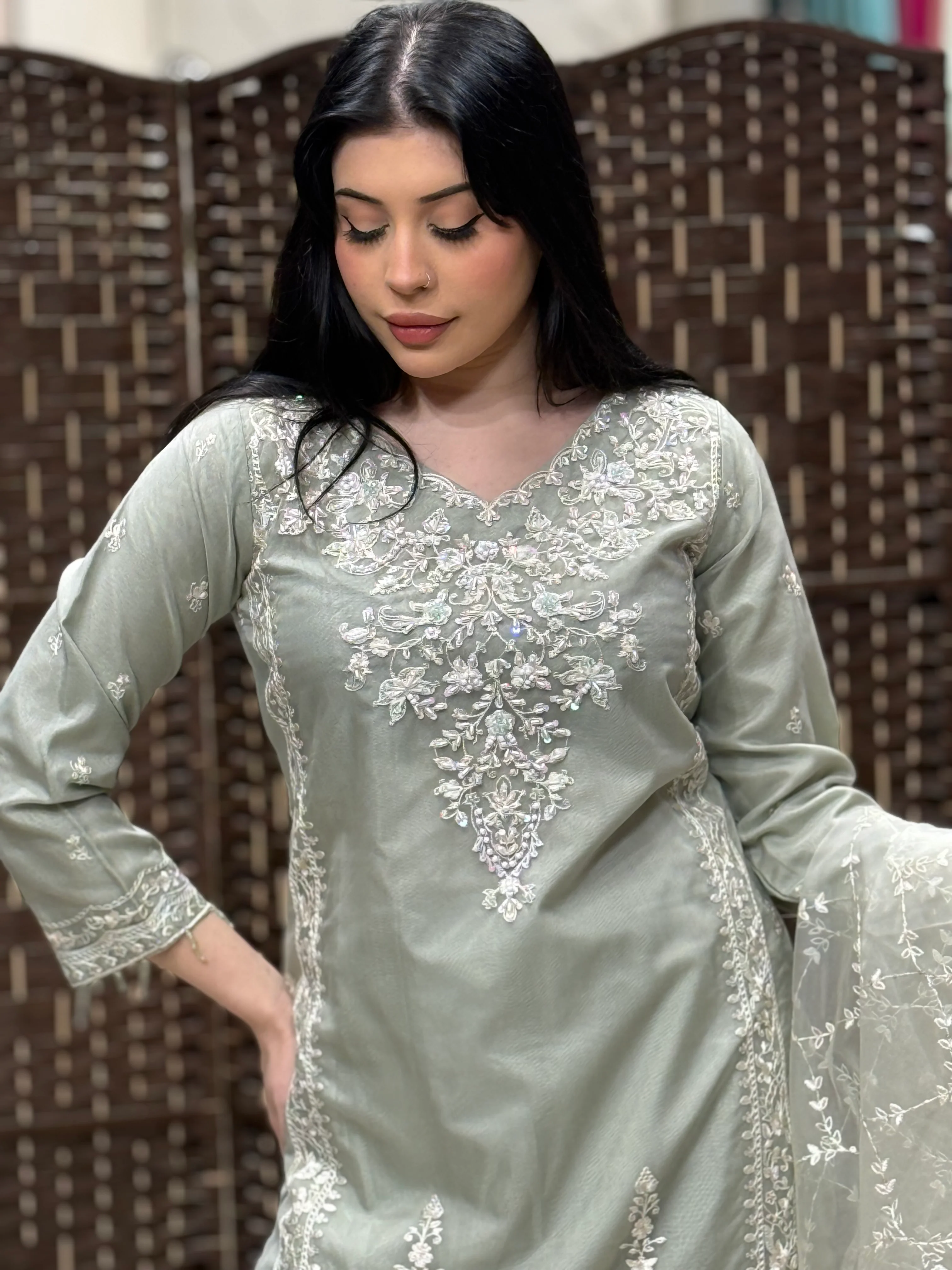 Rang-e-Noor Eid Collection DS-02 - Image 6