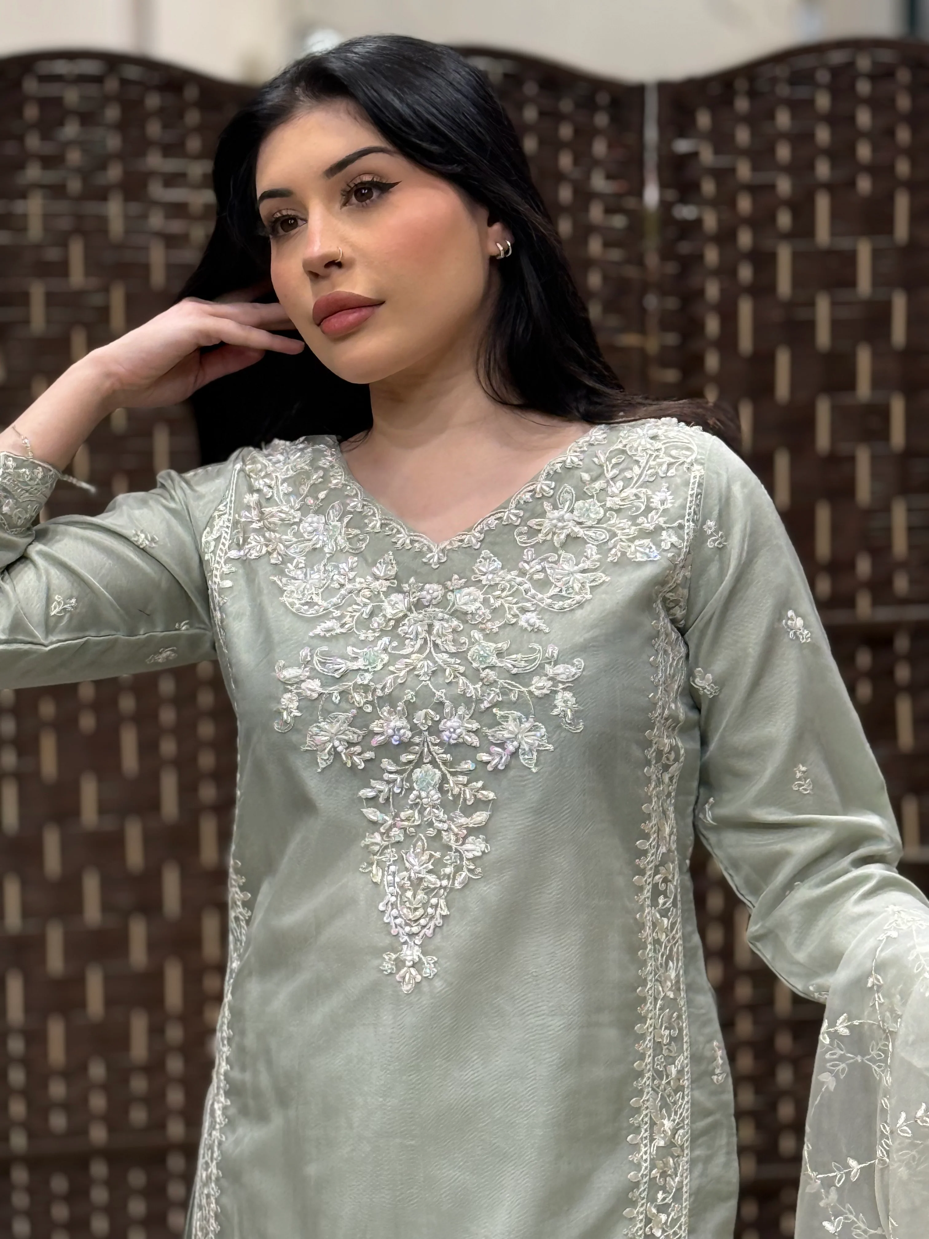 Rang-e-Noor Eid Collection DS-02 - Image 7